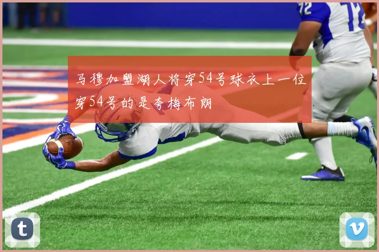 马穆加盟湖人将穿54号球衣上一位穿54号的是夸梅布朗