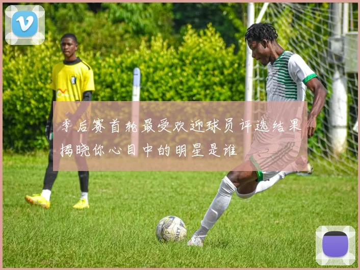 季后赛首轮最受欢迎球员评选结果揭晓你心目中的明星是谁
